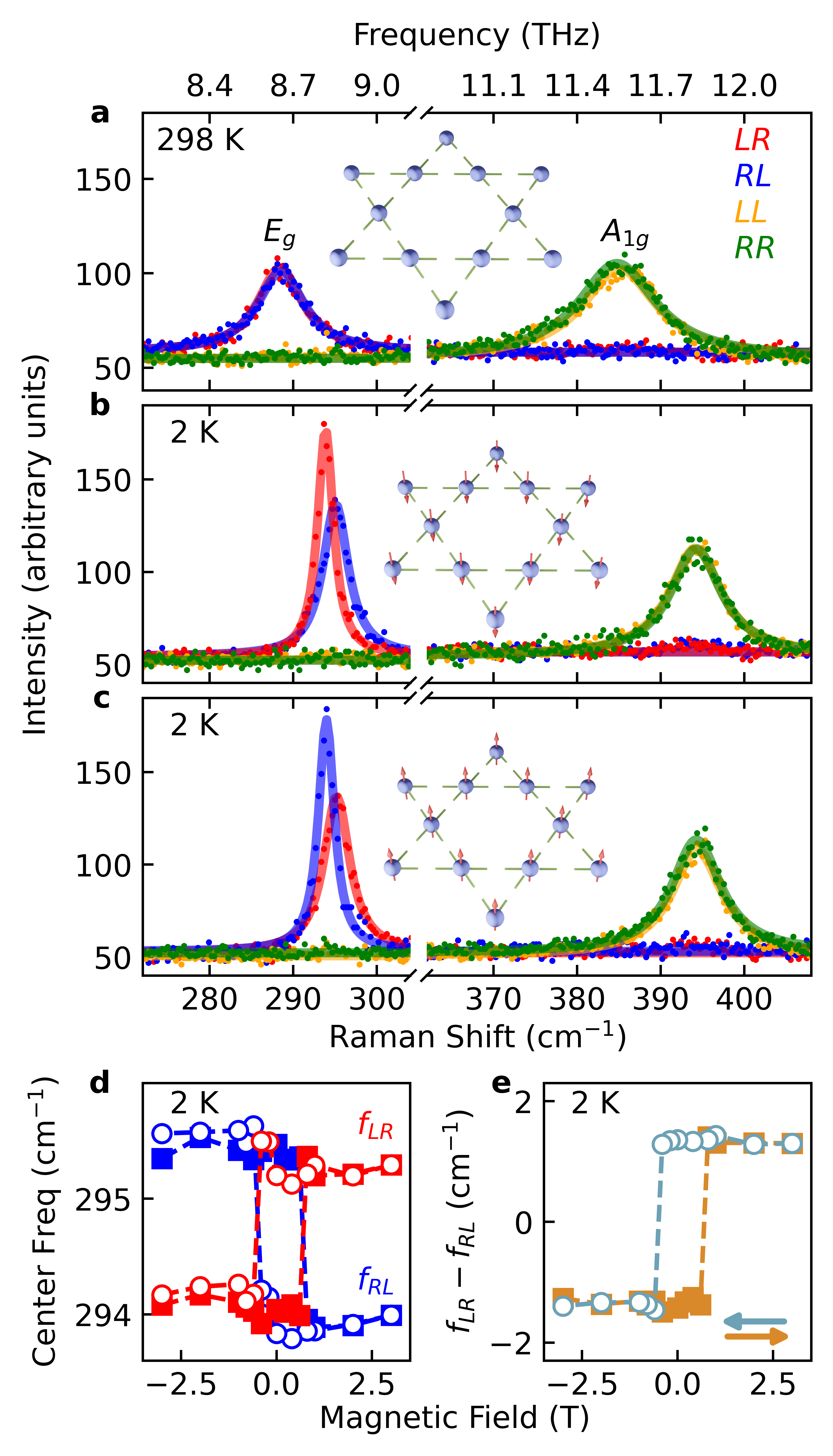 20250519-杨鲁懿等-自发磁化诱导的手性声子能量劈裂-杨鲁懿png