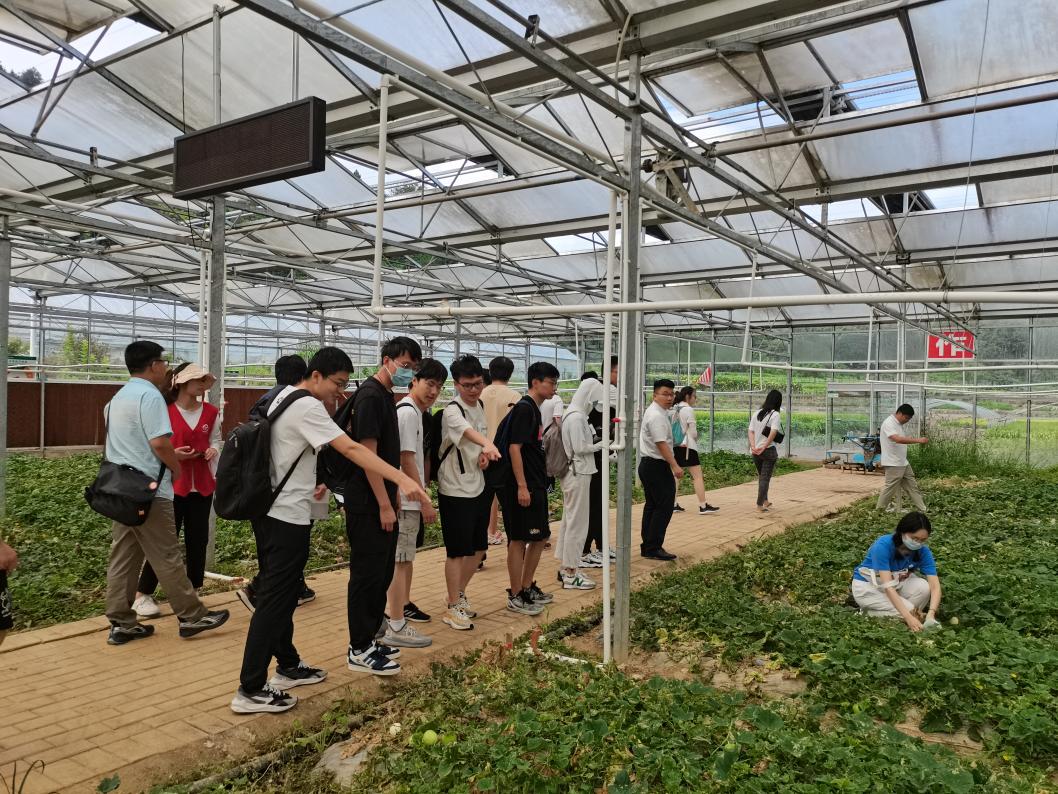 20220808-0814-星空体育“林枫计划”师生赴江西赣县区调研实践-马小涵摄-支队师生参观五云镇夏潭村蔬菜研学基地.jpg