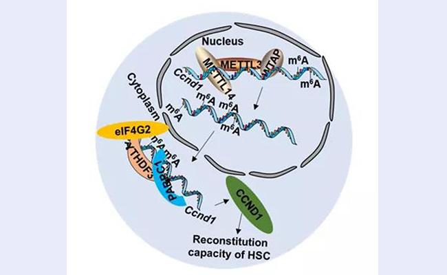 空白背景new - 副本.jpg