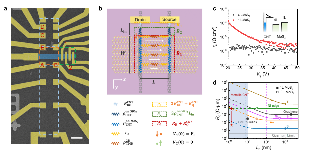 image001.png image001.png