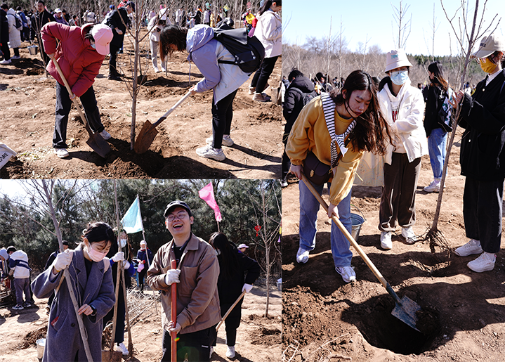 20230312-火博在线师生红螺山植树活动圆满结束-教研院-师生们热火朝天地植树4.png