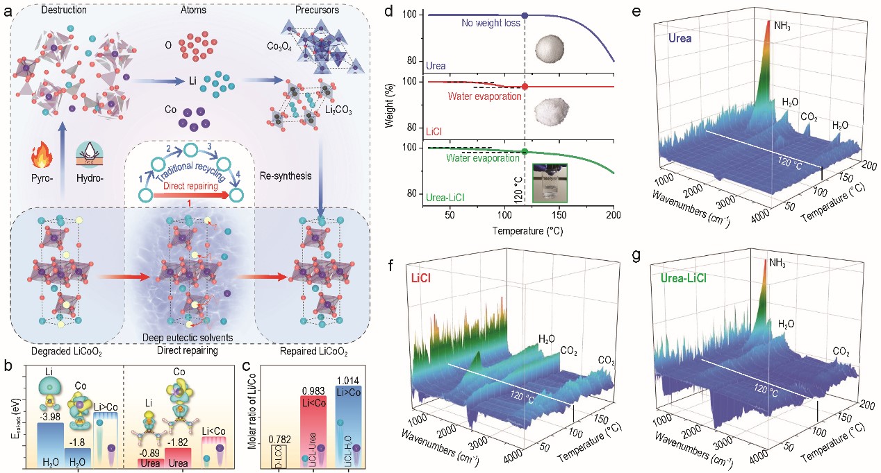 20220520-图1基于低共熔溶剂的直接回收方法-成会明团队-国际研究生院jpg 20220520-图1基于低共熔溶剂的直接回收方法-成会明团队-国际研究生院jpg
